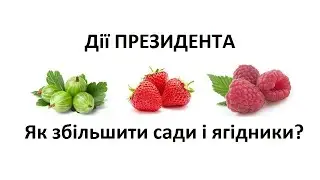 Як українців забезпечити плодами і ягодами? Як розвинути садівництво і ягідництво?Рішення для народу