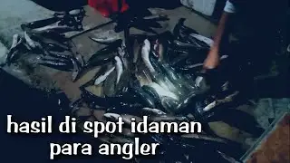 SPOT TANAH GROGOT #2 // CASTING IKAN GABUS // CASTING HARUAN
