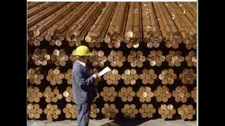 Медный стейблкоин   CUT   СТЕИБЛКОИН БУДУЩЕГО