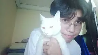 Video with Snow 🐾