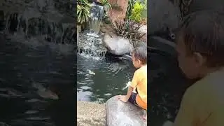 Lihat ikan koi di kolam taman herbal insani