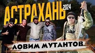 Астрахань 2024. База Кигач Хаус. 18+