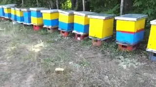 Pergaditja per bartje