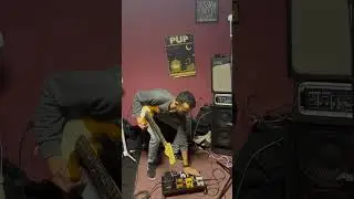 Who are the two guitarists ? 👀