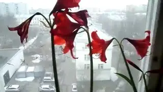 АСТАХОВ СЕРГИЙ