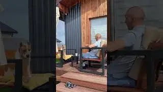 Стаффорд жалуется #shortvideo #собака #staff #стаффорд #прикол #юмор #стаффордширскийтерьер