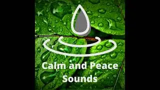 Spooky Laugh 1 Hour Sound Effect, Halloween Time, Horror Laugh, Scary