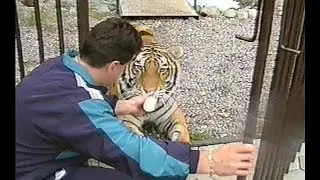 TIGRE