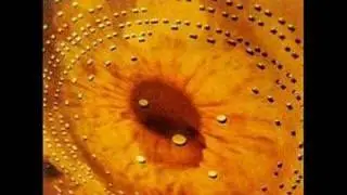 Catherine Wheel - Indigo is Blue