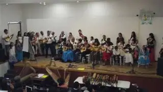 La mantilla blanca