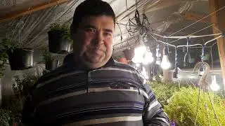НАЧИНАЮ НАЧИНАТЬ ПОЗДРАВЛЯТЬ С НОВЫМ ГОДОМ!!!