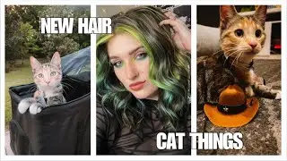 New Hair, Universal, April TBR, & Meowbox Unboxing