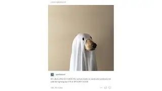 Tumblr Posts Ep.55