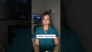 Да вы проходите ЧЕКАП с вашим питомцем? #ветеринар  #лечениеживотных