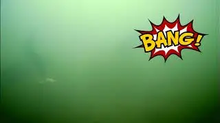 Новый способ ловли форели на раттлин