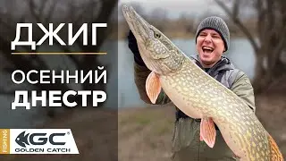 Трофейная щука поздней осенью! Джиг на реке!