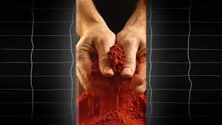 How To Export Tomato Powder From India|| Start Export Business from India – Step by Step
