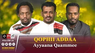 Qophii Addaa: Ayyaana Qaammee