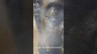 Happy Buddha Purnima 🙏