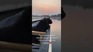 Это не сделает тебя слабым ♥️ #природа #дагестан #сочи #владикавказ #психолог #психосоматика
