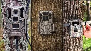 Elige la CÁMARA de FOTOTRAMPEO de Bushnell que mejor se adapte a tus necesidades