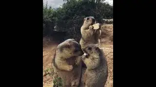 поел сам, помоги другому)