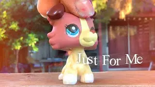 ʝυѕт fσя мє ~ lps edit 🍁🤎
