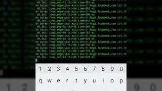 How To Get Website IP Address Using Android Terminal Emulator