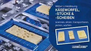 Weber Linienlösung für Käsewürfel, -stücke und scheiben | weSCAN, Slicer TS700, weSHUTTLE, wePICK