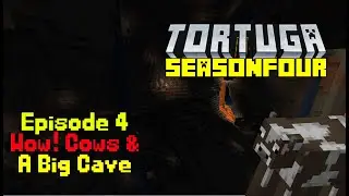 Tortuga S4 Ep 4 Wow! Cows & Big Cave