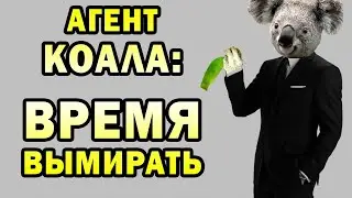 Почему коалы должны вымереть