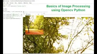 Basic image processing  using Python OpenCV || image reading and  display using OpenCV