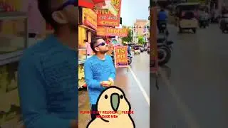 bird relese#indian alexandrine parrot slow Mo free flying #shortvideos#shorts#shortvideo#travel