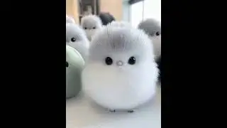 cutest creatures in internet #video #adorable