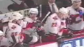 NHL Brawl Flames VS Ducks.