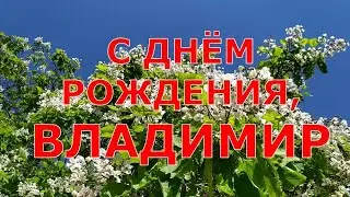 С ДНЁМ РОЖДЕНИЯ, ВЛАДИМИР