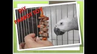 #BIRDTOYS #DIY