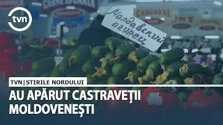 AU APĂRUT CASTRAVEȚII MOLDOVENEȘTI