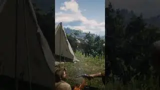 A Free Country... #rdr2