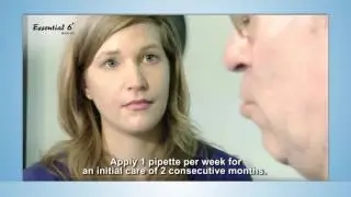 LDCA essential 6 spot on gb sstitre HD