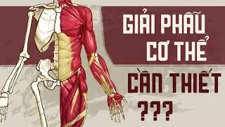 On Human Anatomy for Artists