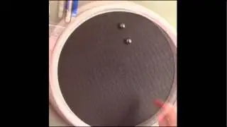 Coriolis Effect