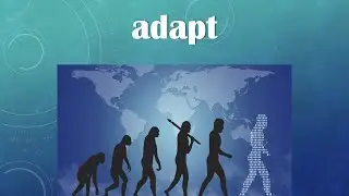 adapt meaning