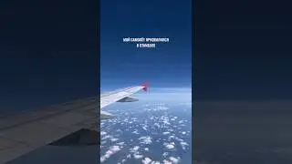 Звали Ферита выпить с нами вино на яхте, но он так и не вышел🙈  