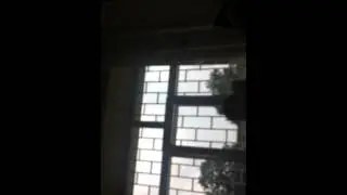 IMG 1948