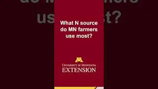 What N source do MN farmers use most?