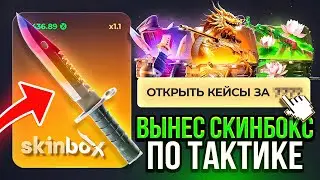 I FOUND THE MOST IMB CASE ON SKINBOX 🔥 PROMO CODE FOR SKINBOX and SITE CHECK