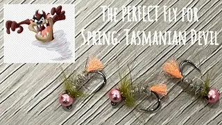 The PERFECT Fly for Spring Fly Fishing: The Tasmanian Devil: