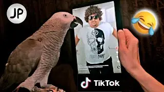 ✅ РЕАКЦИЯ ЖАКО ПЕТРУНИ НА ТАНЦУЮЩЕГО МУЖИКА ИЗ ТИК ТОКА КОТОРЫЙ ВЗОРВАЛ ИНТЕРЕНЕТ 🤣  