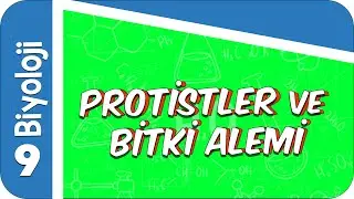 9. Sınıf Biyoloji: Protistler ve Bitkiler Alemi 